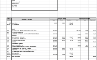 Model Bulletin Paie Excel