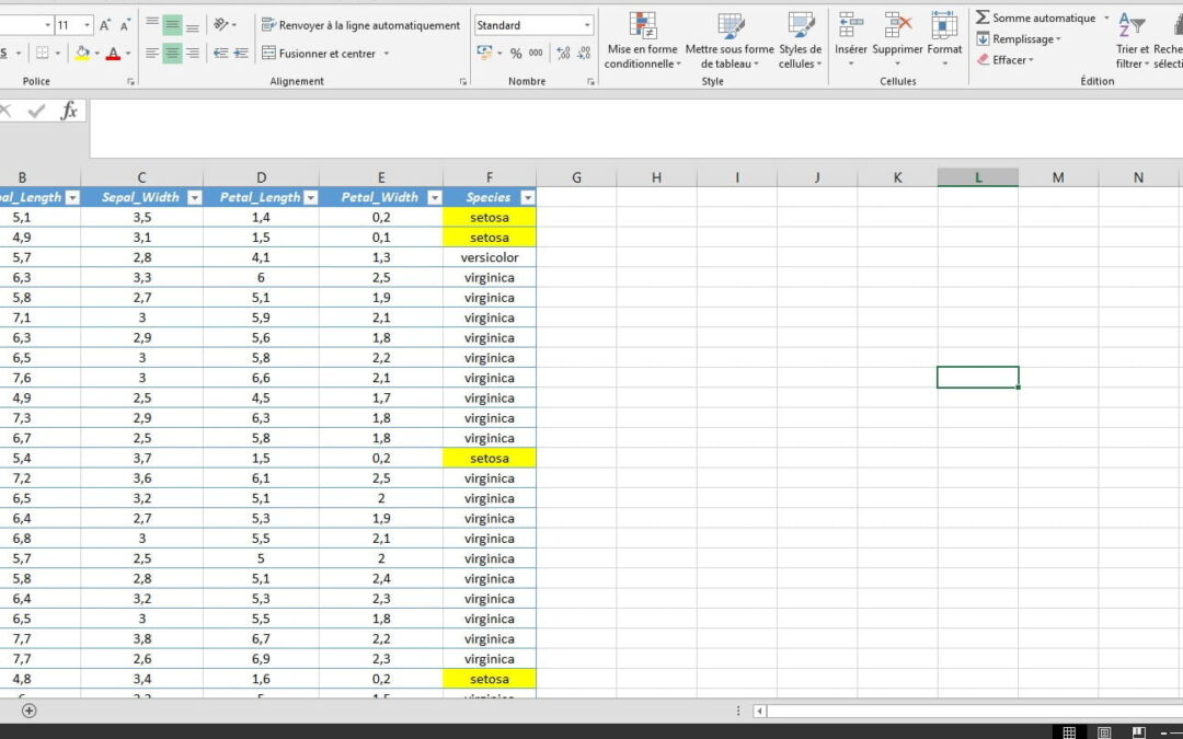 Comment organiser et manipuler facilement des données dans excel à l&rsquo;aide des colonnes ?